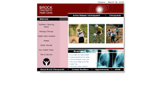 Desktop Screenshot of brockchiro.ca